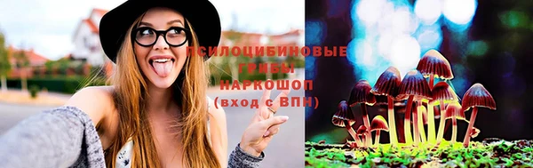МДПВ Горно-Алтайск