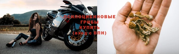 МДПВ Горно-Алтайск