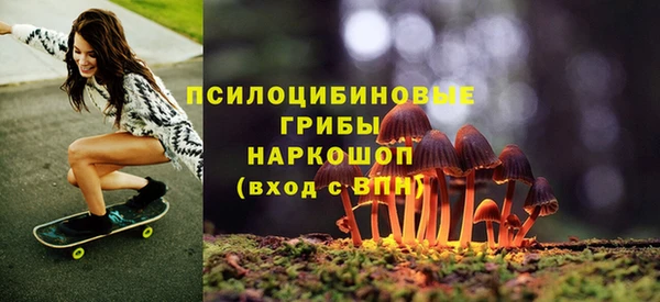 меф Горнозаводск
