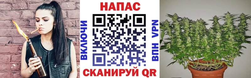МАРИХУАНА Amnesia  Томилино 